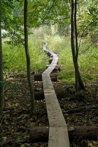 Woodland boardwalks allow you to enjoy more of your property