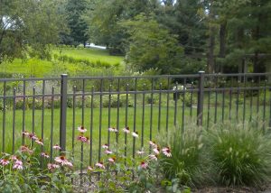 Delicate iron fences for garden borders