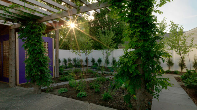 After: view of backyard from under the pergola