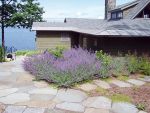 Blurring the lines between walkway, patio, and garden