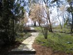 Picturesque paths through the woods