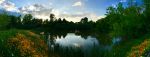 After: clean, revived pond with wildflower planted banks