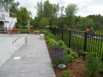 Planted iron fences