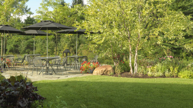 After: Many of the surrounded plants are edible for use within the restaurant
