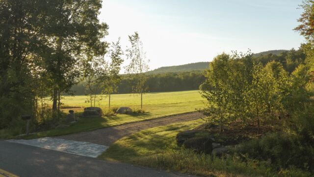 After: Granite cobble strip, brush cleared, birch groves planted with under plantings of Daylilies, lawn extended to the road.